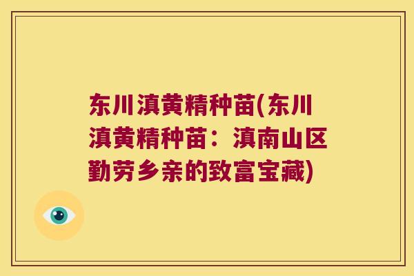 东川滇黄精种苗(东川滇黄精种苗:滇南山区勤劳乡亲的致富宝藏) 东川滇黄精种苗(东川滇黄精种苗:滇南山区勤劳乡亲的致富宝藏)