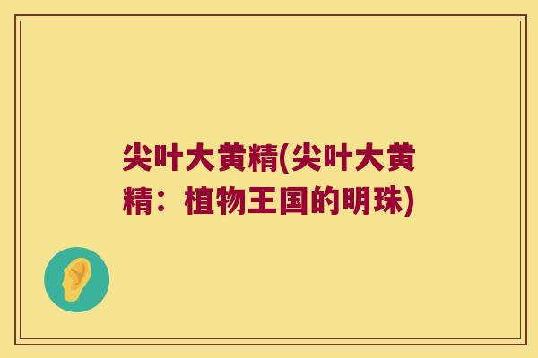 尖叶大黄精(尖叶大黄精：植物王国的明珠)