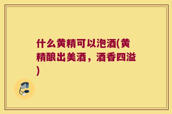 什么黄精可以泡酒(黄精酿出美酒,酒香四溢) 什么黄精可以泡酒(黄精酿出美酒,酒香四溢)