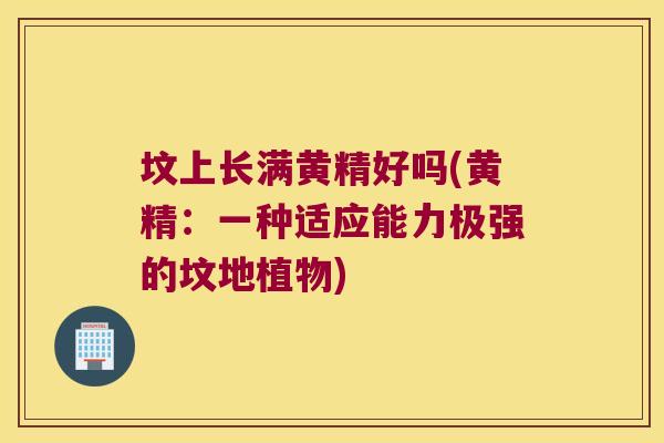 坟上长满黄精好吗(黄精：一种适应能力极强的坟地植物)