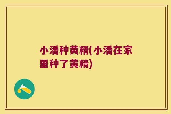 小潘种黄精(小潘在家里种了黄精)
