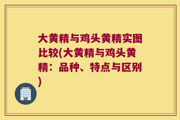 大黄精与鸡头黄精实图比较(大黄精与鸡头黄精:品种、特点与区别) 大黄精与鸡头黄精实图比较(大黄精与鸡头黄精:品种、特点与区别)