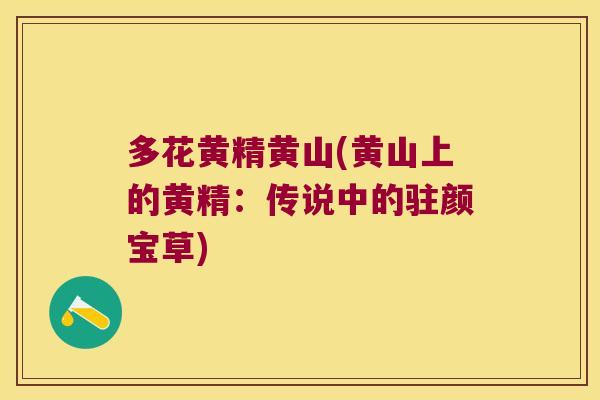 多花黄精黄山(黄山上的黄精：传说中的驻颜宝草)