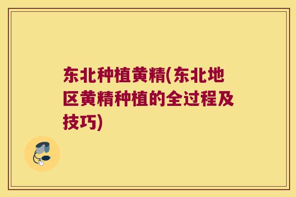 东北种植黄精(东北地区黄精种植的全过程及技巧)