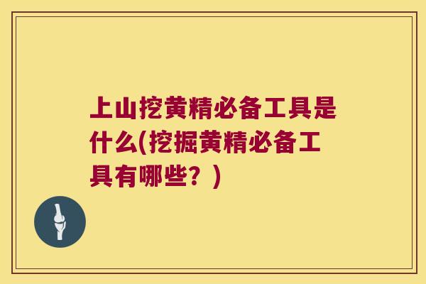 上山挖黄精必备工具是什么(挖掘黄精必备工具有哪些？)