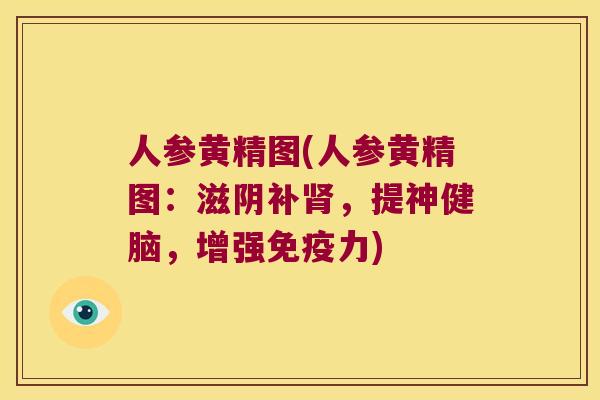 人参黄精图(人参黄精图:滋阴补,提神健脑,增强力) 人参黄精图(人参黄精图:滋阴补,提神健脑,增强力)