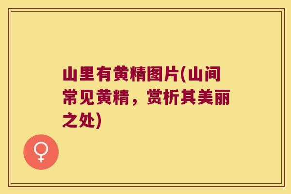 山里有黄精图片(山间常见黄精，赏析其美丽之处)