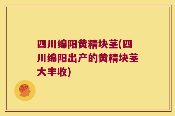 四川绵阳黄精块茎(四川绵阳出产的黄精块茎大丰收) 四川绵阳黄精块茎(四川绵阳出产的黄精块茎大丰收)