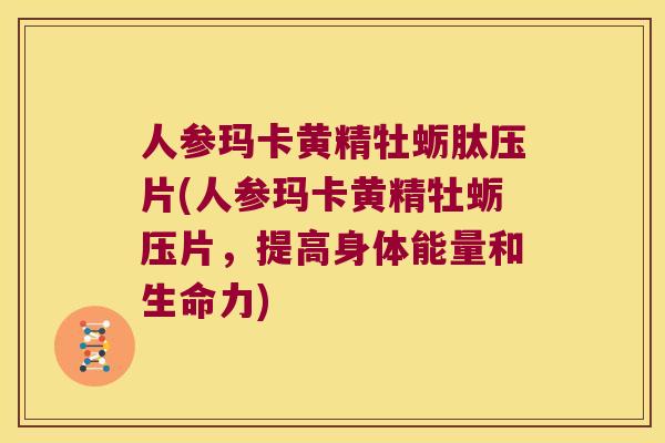人参玛卡黄精牡蛎肽压片(人参玛卡黄精牡蛎压片，提高身体能量和生命力)