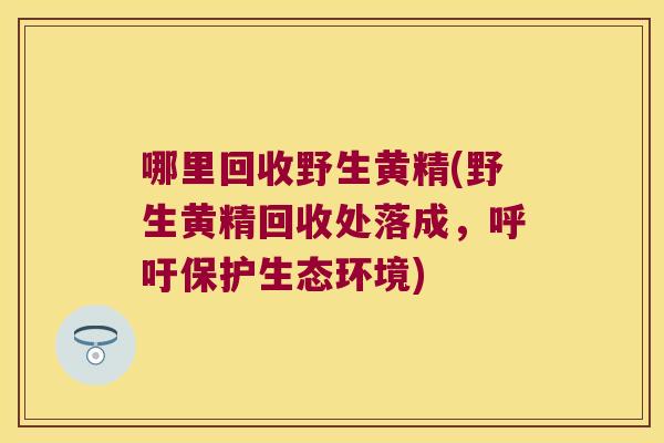哪里回收野生黄精(野生黄精回收处落成，呼吁保护生态环境)