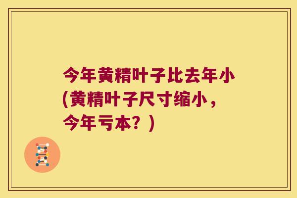 今年黄精叶子比去年小(黄精叶子尺寸缩小，今年亏本？)