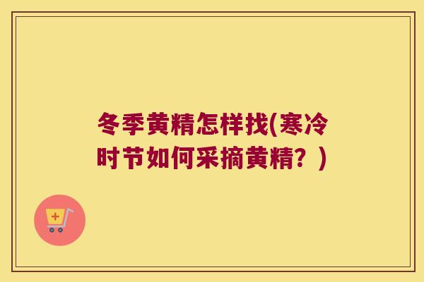 冬季黄精怎样找(寒冷时节如何采摘黄精？)