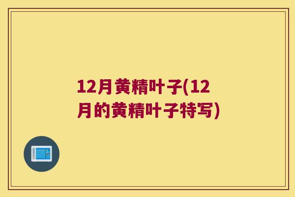 12月黄精叶子(12月的黄精叶子特写)