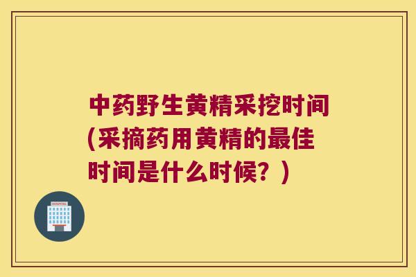 野生黄精采挖时间(采摘药用黄精的佳时间是什么时候?) 野生黄精采挖时间(采摘药用黄精的佳时间是什么时候?)