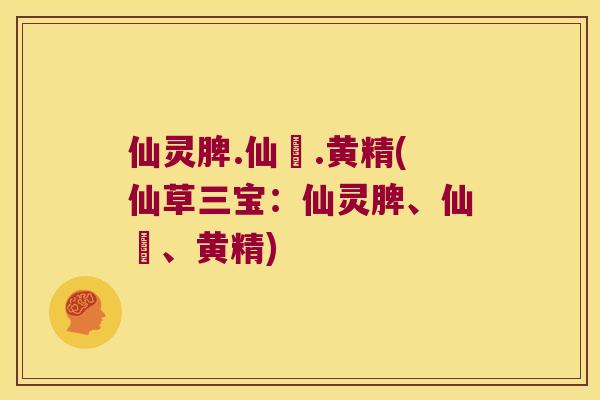 仙灵脾.仙芧.黄精(仙草三宝:仙灵脾、仙芧、黄精) 仙灵脾.仙芧.黄精(仙草三宝:仙灵脾、仙芧、黄精)