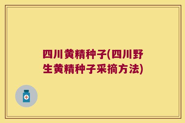 四川黄精种子(四川野生黄精种子采摘方法)