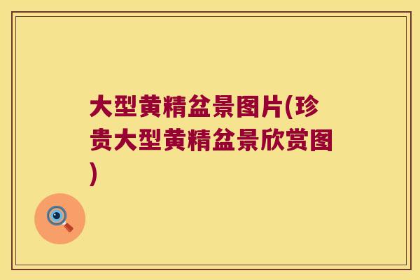 大型黄精盆景图片(珍贵大型黄精盆景欣赏图) 大型黄精盆景图片(珍贵大型黄精盆景欣赏图)