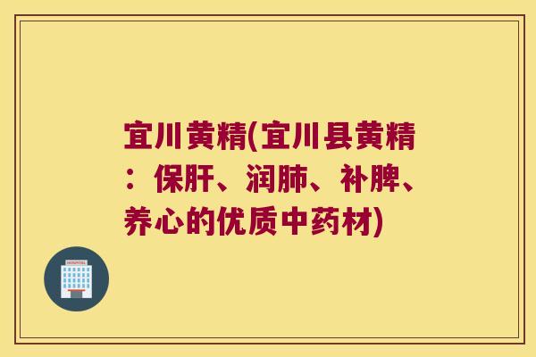 宜川黄精(宜川县黄精:、润、补脾、养心的优质材) 宜川黄精(宜川县黄精:、润、补脾、养心的优质材)