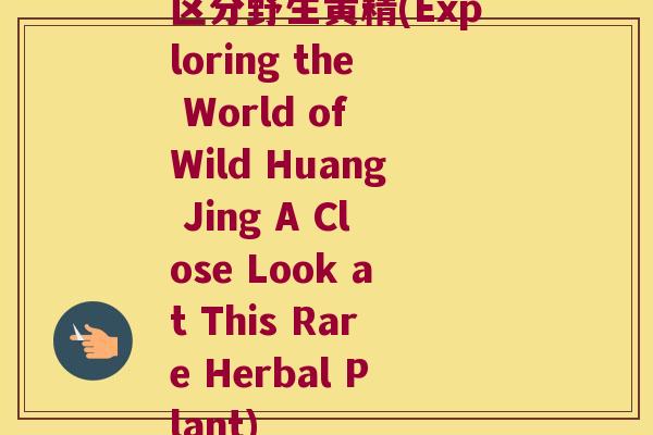 区分野生黄精(Exploring the World of Wild Huang Jing A Close Look at This Rare Herbal Plant)