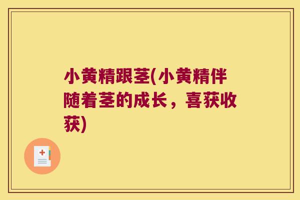 小黄精跟茎(小黄精伴随着茎的成长，喜获收获)