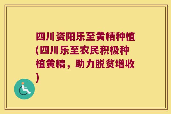 四川资阳乐至黄精种植(四川乐至农民积极种植黄精,助力脱贫增收) 四川资阳乐至黄精种植(四川乐至农民积极种植黄精,助力脱贫增收)