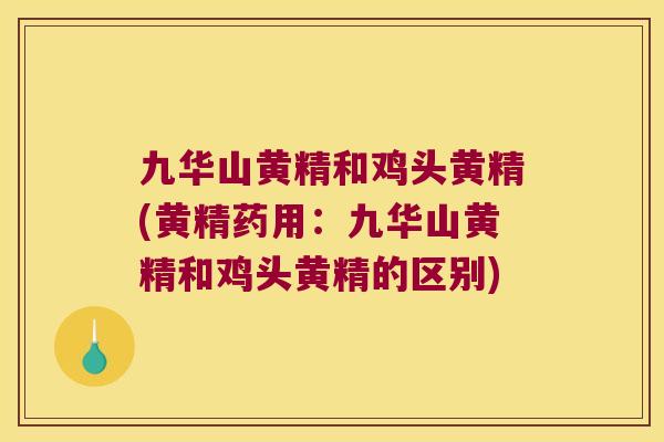 九华山黄精和鸡头黄精(黄精药用：九华山黄精和鸡头黄精的区别)