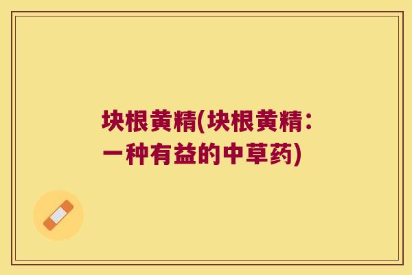 块根黄精(块根黄精:一种有益的中草药) 块根黄精(块根黄精:一种有益的中草药)