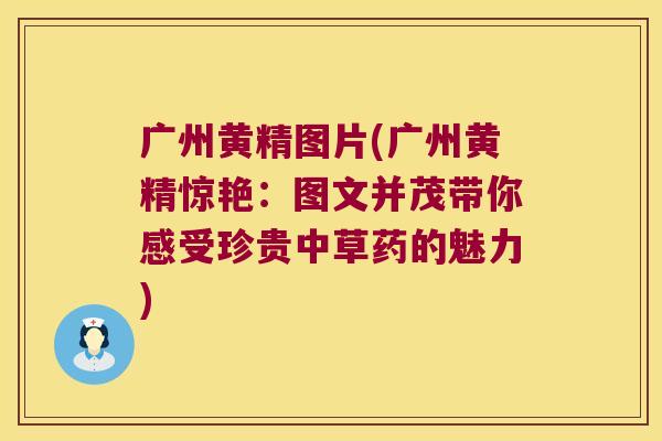 广州黄精图片(广州黄精惊艳：图文并茂带你感受珍贵中草药的魅力)