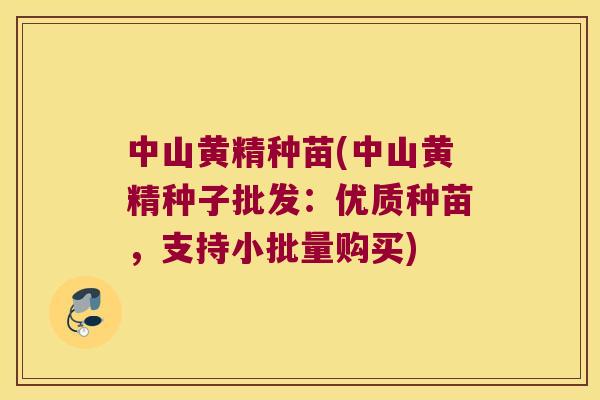 中山黄精种苗(中山黄精种子批发：优质种苗，支持小批量购买)