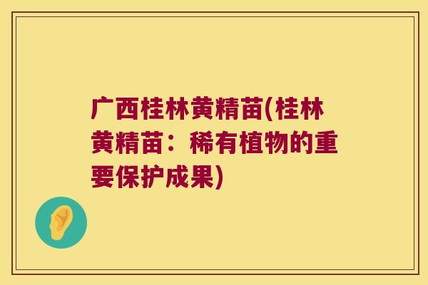 广西桂林黄精苗(桂林黄精苗:稀有植物的重要保护成果) 广西桂林黄精苗(桂林黄精苗:稀有植物的重要保护成果)