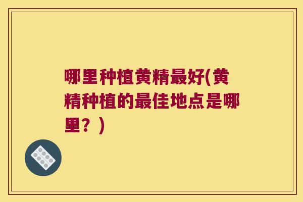 哪里种植黄精好(黄精种植的佳地点是哪里?) 哪里种植黄精好(黄精种植的佳地点是哪里?)