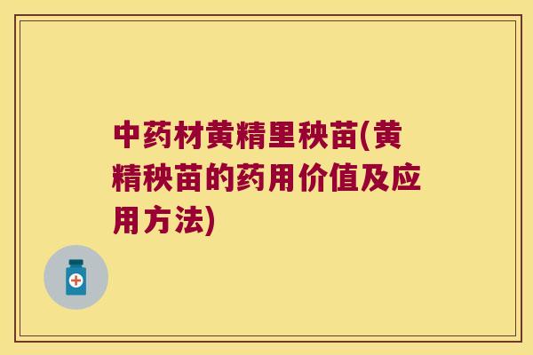 材黄精里秧苗(黄精秧苗的药用价值及应用方法) 材黄精里秧苗(黄精秧苗的药用价值及应用方法)