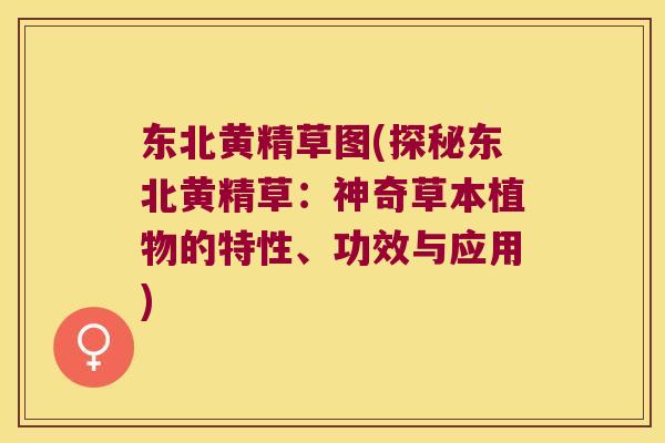 东北黄精草图(探秘东北黄精草:神奇草本植物的特性、功效与应用) 东北黄精草图(探秘东北黄精草:神奇草本植物的特性、功效与应用)