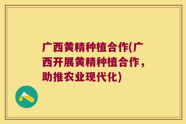 广西黄精种植合作(广西开展黄精种植合作，助推农业现代化)