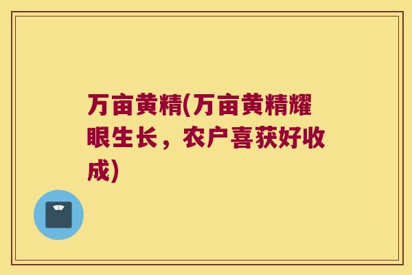 万亩黄精(万亩黄精耀眼生长，农户喜获好收成)