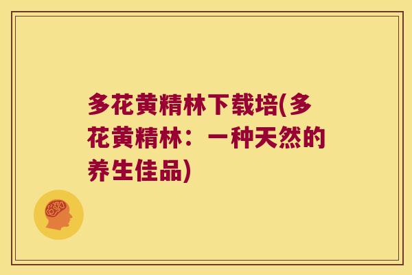 多花黄精林下载培(多花黄精林：一种天然的养生佳品)