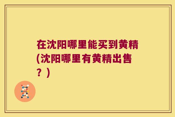 在沈阳哪里能买到黄精(沈阳哪里有黄精出售?) 在沈阳哪里能买到黄精(沈阳哪里有黄精出售?)