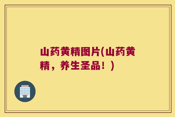 山药黄精图片(山药黄精，养生圣品！)
