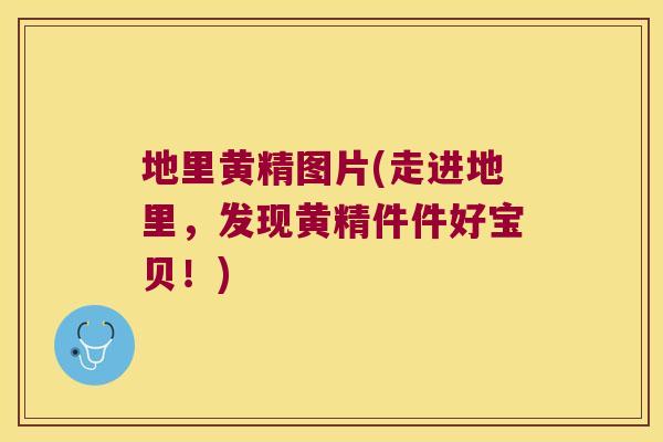 地里黄精图片(走进地里，发现黄精件件好宝贝！)