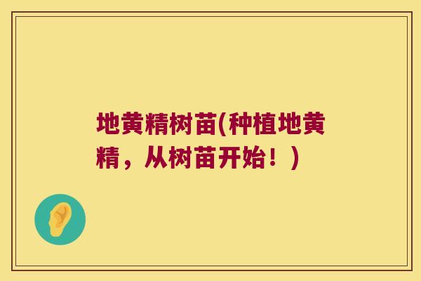 地黄精树苗(种植地黄精，从树苗开始！)