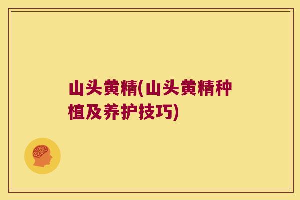 山头黄精(山头黄精种植及养护技巧)