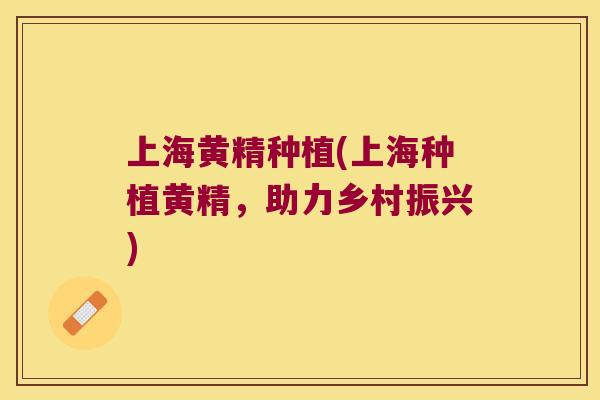 上海黄精种植(上海种植黄精，助力乡村振兴)