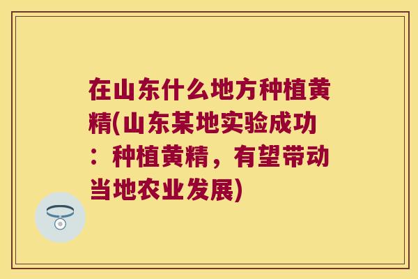 在山东什么地方种植黄精(山东某地实验成功：种植黄精，有望带动当地农业发展)