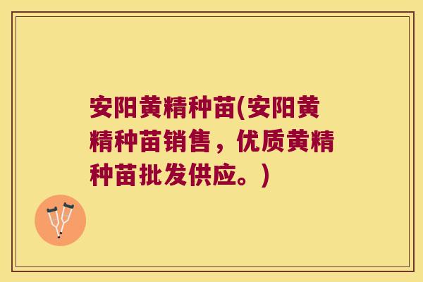 安阳黄精种苗(安阳黄精种苗销售,优质黄精种苗批发供应。) 安阳黄精种苗(安阳黄精种苗销售,优质黄精种苗批发供应。)