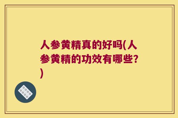 人参黄精真的好吗(人参黄精的功效有哪些？)
