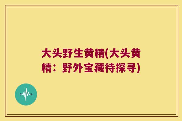 大头野生黄精(大头黄精：野外宝藏待探寻)