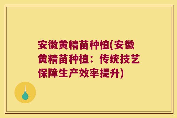 安徽黄精苗种植(安徽黄精苗种植:传统技艺保障生产效率提升) 安徽黄精苗种植(安徽黄精苗种植:传统技艺保障生产效率提升)