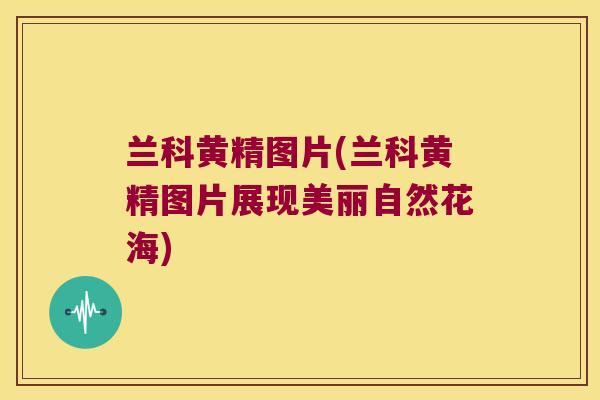 兰科黄精图片(兰科黄精图片展现美丽自然花海)