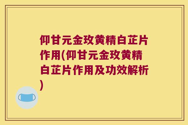 仰甘元金玫黄精白芷片作用(仰甘元金玫黄精白芷片作用及功效解析)