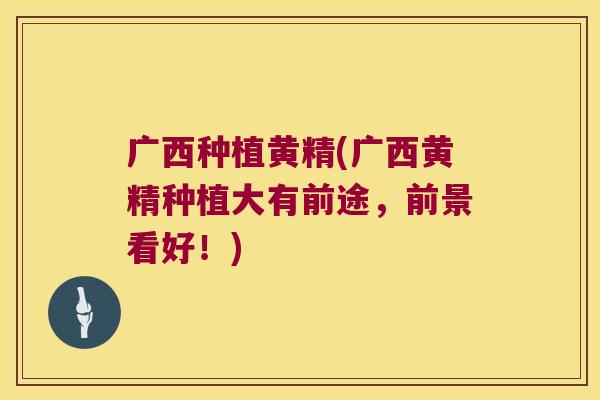 广西种植黄精(广西黄精种植大有前途,前景看好!) 广西种植黄精(广西黄精种植大有前途,前景看好!)